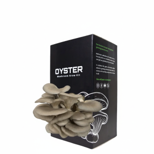Blue Oyster Mushroom Grow Kit