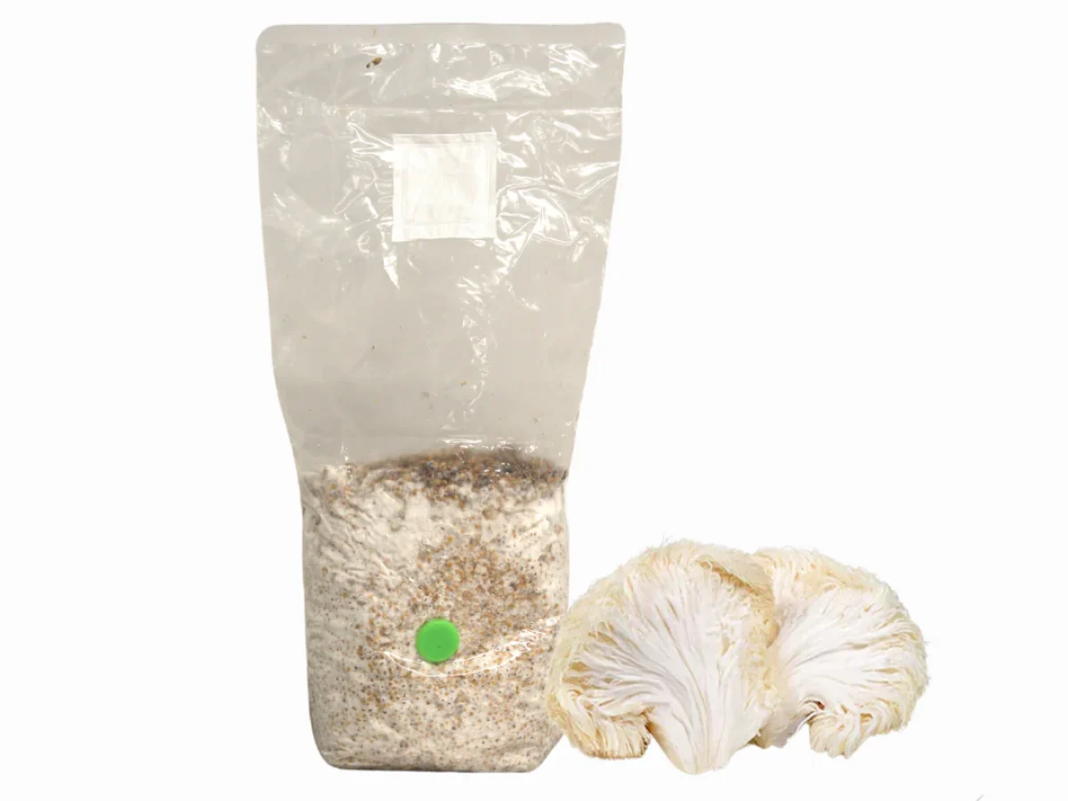 Super Pack – 4 Types Of Mushroom Spawn – Excellent Quality, US Seller - View #3