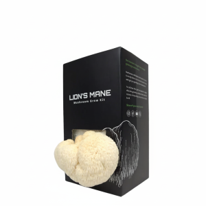 Lion's Mane Mushroom Grow Kit