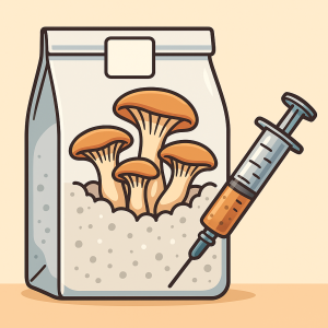 Mushroom Growing Kits